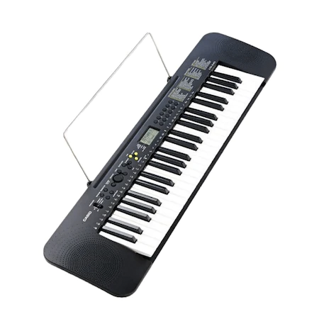 orga electronica de vanzare