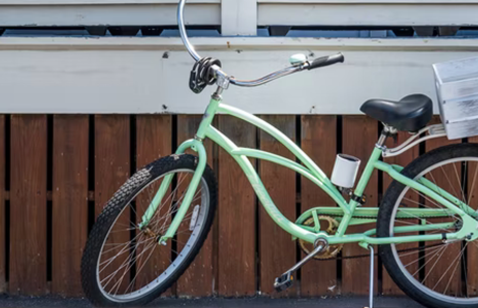 top biciclete de oras bune