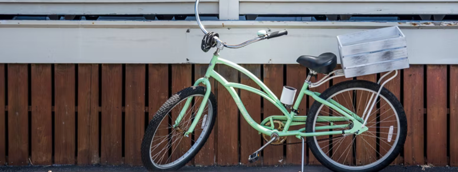 bicicleta de oras buna