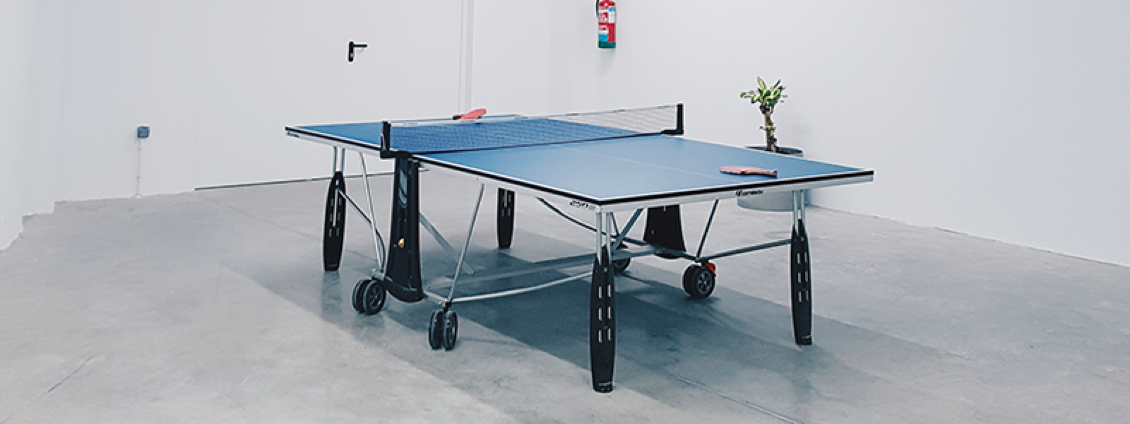 mese ping pong de top