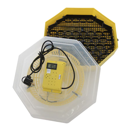 incubatoare de oua electrice bune