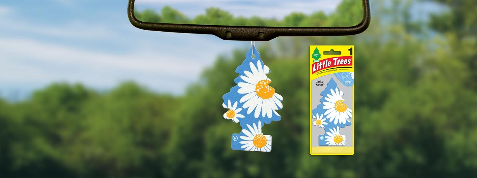 cel mai bun odorizant auto