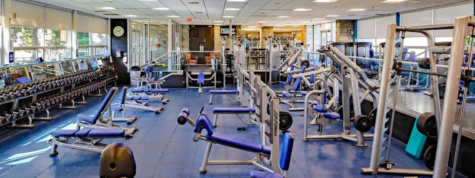 Aparate fitness in rate