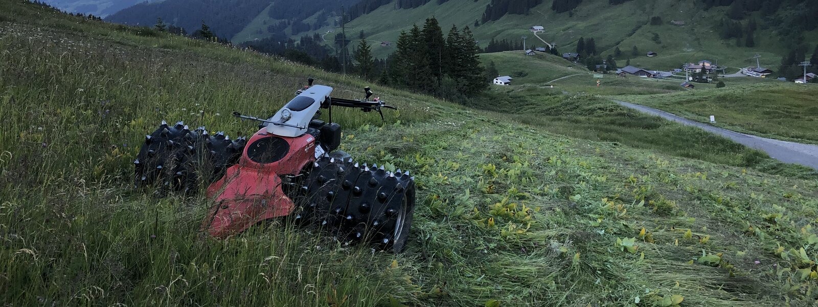 Motocultor cu remorca in rate
